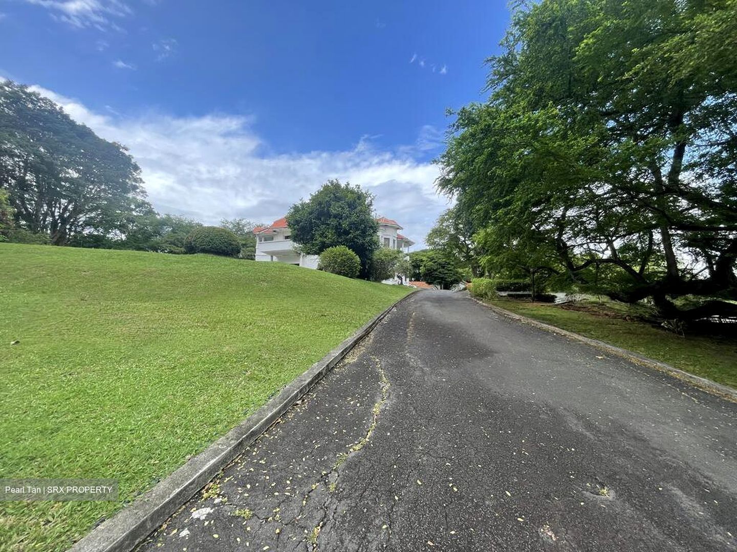 Tanglin Hill Villas (D10), Detached #628307451